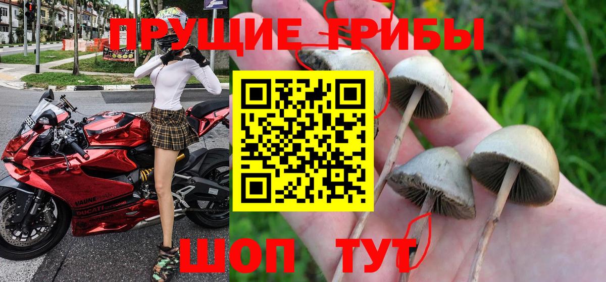 Галлюциногенные грибы GOLDEN TEACHER Донецк